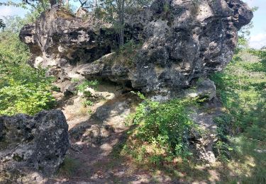 Trail Walking Fontainebleau - n17 - Photo