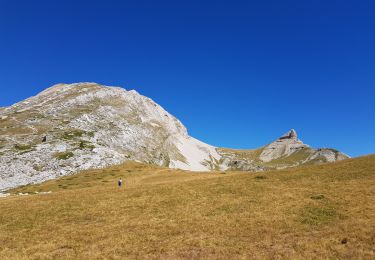 Tour Wandern Saint-Agnan-en-Vercors - Pas des chatons  depuis la coche - Photo