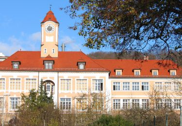 Excursión A pie Kulmbach - Frühlingshöhen-Weg KU 41 - Photo