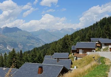 Tour Wandern Peisey-Nancroix - Peisey Vallandry Les Charmettes Le Villaret - Photo