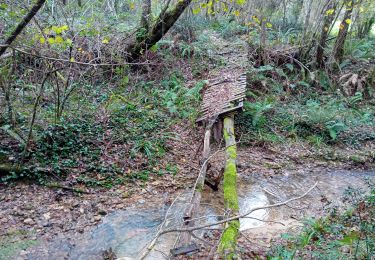 Tocht Stappen Saint-Sever - saint sever Guillaume - Photo