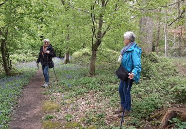 Trail Walking Thuin - Thuin clés de St Pierre - Photo