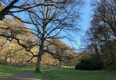 Trail Walking Tervuren - Promenade de Frank - Photo