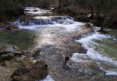 Tocht Stappen Sillans-la-Cascade - Sillans-la-cascade - Photo