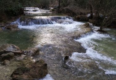 Percorso Marcia Sillans-la-Cascade - Sillans-la-cascade - Photo