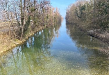 Tour sport Le Bourget-du-Lac - Bourget thomas 2 Abaye - Photo