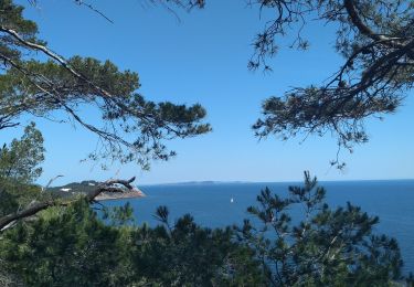 Trail Walking Saint-Mandrier-sur-Mer - Saint Mandrier - Photo