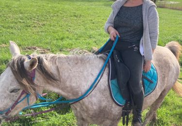 Trail Horseback riding Saint-Martin - Nadine joyeux kaline nala  - Photo