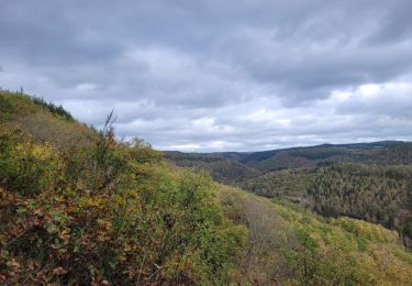 Randonnée Marche Bouillon - rando rochehaut 25-10-2022 - Photo