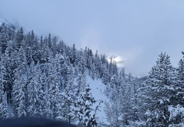 Tocht Sneeuwschoenen Pralognan-la-Vanoise - Les Fontanettes  - Photo