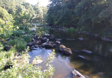 Tour Wandern La Bruffière - boucle Boussay Hucheloup  - Photo