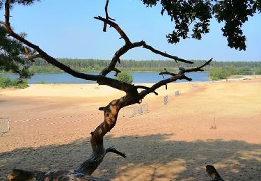 Trail Walking Lommel - Le Sahara de Lommel  - Photo