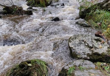 Trail Walking Mortain-Bocage - Mortain - Photo
