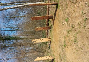 Trail Walking Virton - Sentier Bayard - Photo
