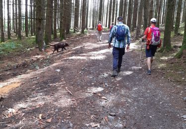 Tour Wandern Hohenfels - Bernard  - Photo