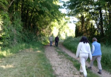 Tour Wandern Saint-Saviol - rando des 3 saintw - Photo