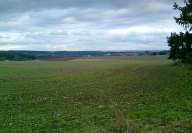 Excursión A pie Planá - NS Kosový potok - Photo