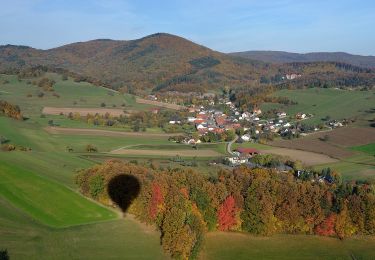 Trail On foot Gemeinde Alland - Allander Wanderweg 7 - Photo