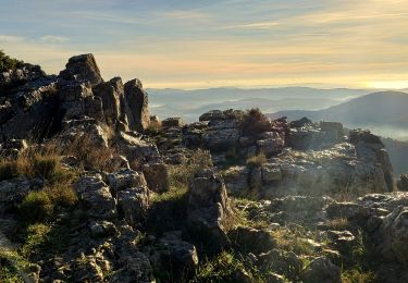Trail Walking Belgentier - Wikiloc - Belgentier - Photo