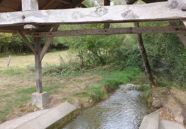 Randonnée Marche Lentillac-du-Causse - 21/09/23 lentillac du causse - Photo