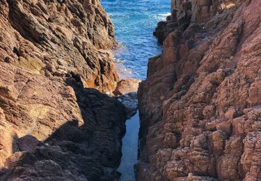 Trail Walking Saint-Raphaël - Sentier du douanier Boulouris a St Lucia retour  - Photo