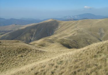 Percorso A piedi Comarnic - Posada - Tituleni - Culmea Zamora - Photo