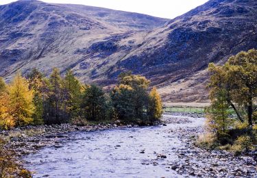 Trail On foot  - South Esk Trail - Photo