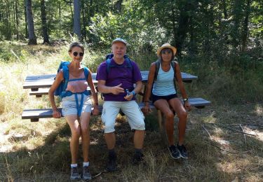 Tour Wandern Yerres - Rando Yerres - Réveillon -Marolles - Grange 21 km - Photo