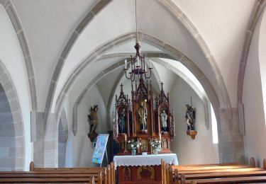Randonnée A pied Niederwaldkirchen - Steinbach-Rundweg - Photo