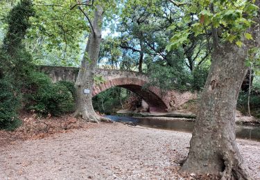 Trail Walking Solliès-Ville - Domaine de la Castille-La Crau-09-09-22 - Photo