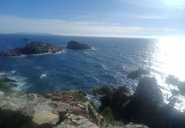 Percorso Sentiero Bormes-les-Mimosas - Pointe du Diable et de Estagnol - Photo