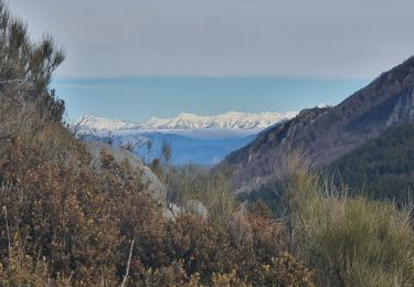 Trail Walking Beynes - 2024-01-19 Montagne de Beynes  - Photo