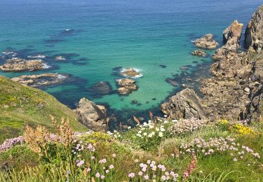 Tour Wandern Cléden-Cap-Sizun - pointe  - Photo