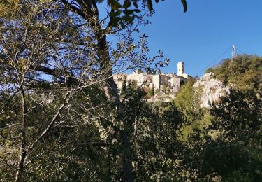 Tocht Stappen Èze - Eze bord de mer  - Photo