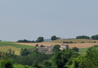 Trail Mountain bike Cahuzac-sur-Vère - Cahuzac sur Vère VTT 34 km - Photo