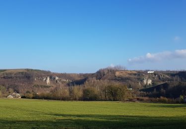 Percorso Marcia Wanze - balade autour de château de Moha - Photo