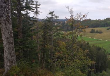 Tour Wandern Le Bizot - Le Bizot - Photo