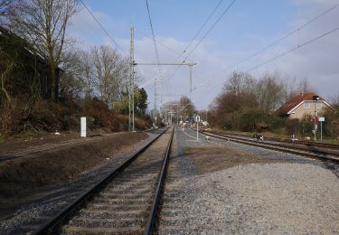 Tour Zu Fuß Hamminkeln - Hamminkeln Rundweg A3 - Photo