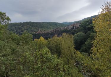 Randonnée Marche Montagut i Oix - CASTELLFOLLIT DE LA ROCA  - Photo