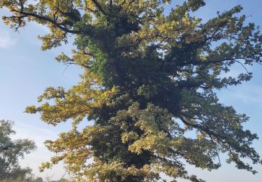 Randonnée Marche Péronne - clesse - Photo