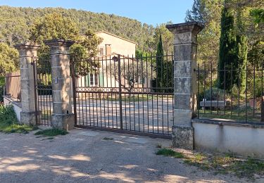 Percorso Marcia Lafare - autour des Dentelles de Montmirail - Photo