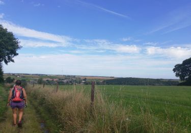 Tour Wandern Walcourt - fraire violette Thy hanzinelle - Photo