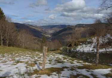 Trail Walking Cornimont - LE HAUT DU ROC - Photo