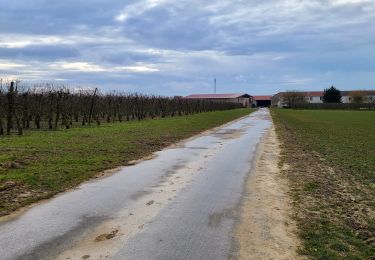 Tour Wandern Marigny-en-Orxois - Marigny en Orxois du 20-02-2025 - Photo