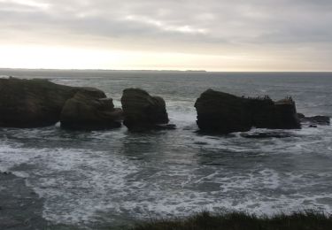 Excursión Senderismo Piriac-sur-Mer - boucle piriac sur mer - Photo