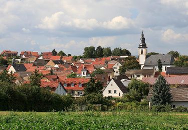 Trail On foot Appenheim - Appenheim: 7-Quellenweg - Photo