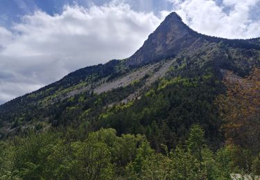 Tocht Stappen Le Glaizil - 20190528_Chapeau de l'évêque via Le Glaizil - Photo