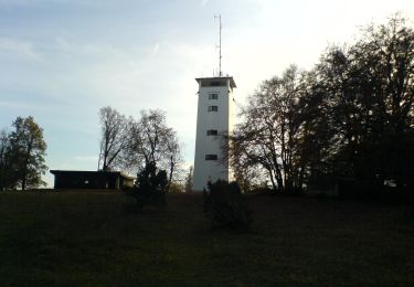 Tour Zu Fuß Gomadingen - Rundwanderweg Oberkochen Nr. 3 - Photo