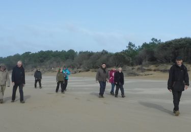 Excursión Senderismo Saint-Palais-sur-Mer - 17  Le Flandre  7 km - Photo