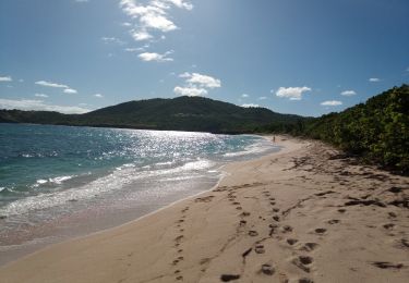 Randonnée Marche Le Vauclin - Petite Anse Macabou - Pointe Marée - Photo